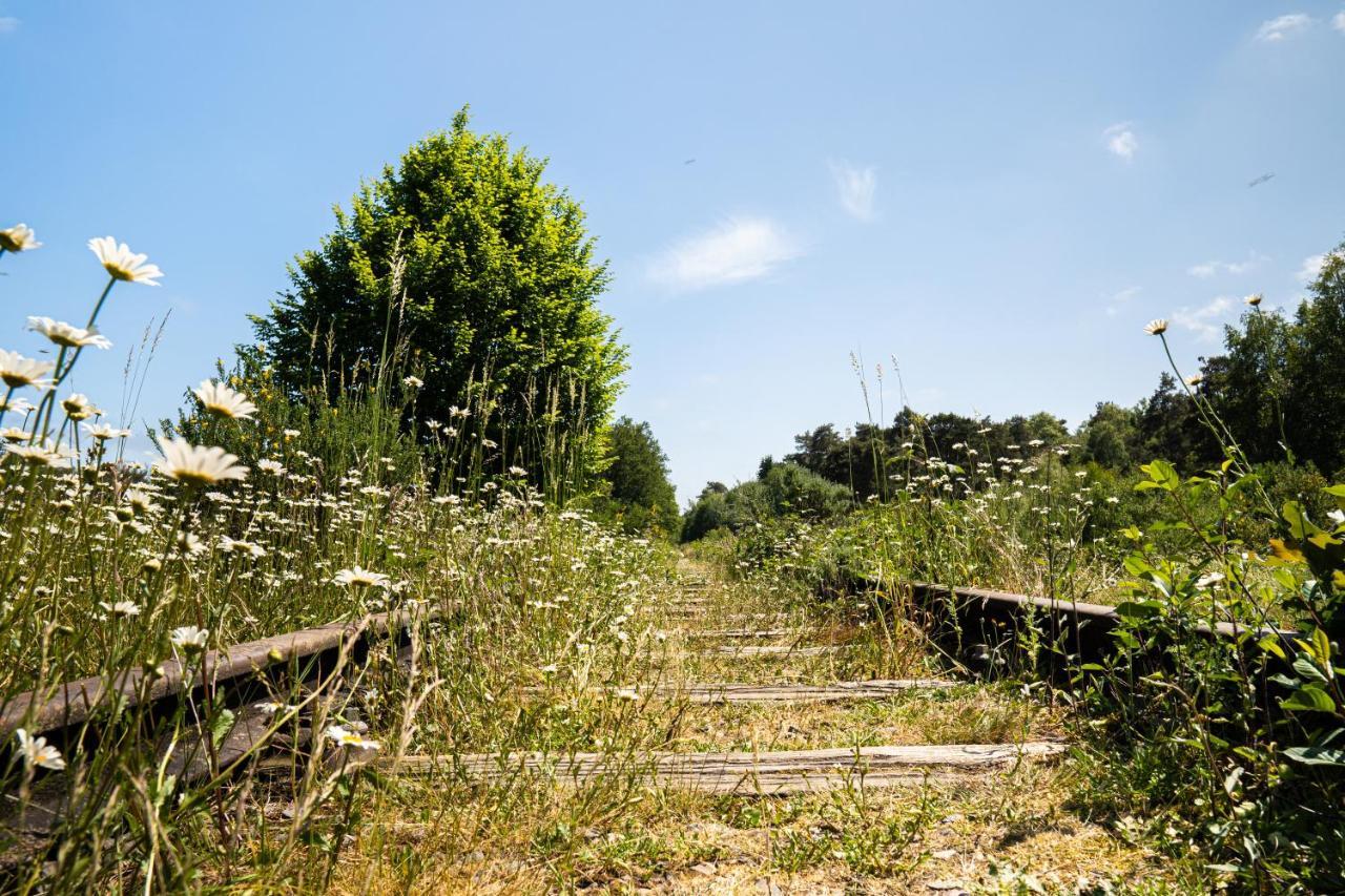 Ferienpark Hofparken Wiltershaar